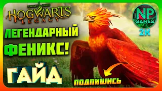 [ГАЙД] Hogwarts legacy Феникс где найти, как получить легендарного феникса! Выручай комната Звери