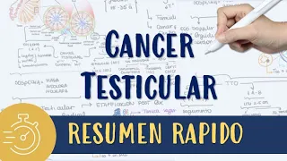 CANCER TESTICULAR FACIL: RESUMEN 10 MIN #seminoma #noseminoma