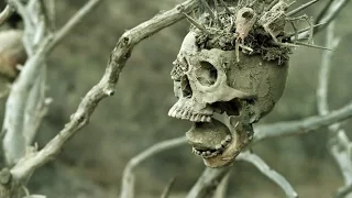 Official Trailer: Bone Tomahawk (2015)