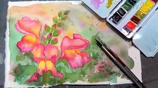 LIVE Snapdragon in Watercolor Tutorial 12:30pm ET