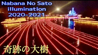 NABANA NO SATO WINTER ILLUMINATION 2020-2021|Incredible Tunnel of Lights in Japan|#PinayInJapan