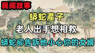 民間故事合集：蟒蛇產子，老人出手想相救，蟒蛇卻告訴他小心你的女婿