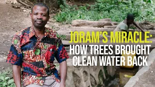 How do trees provide clean water?