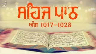 Sehaj Path Ang 1017 To 1028 | Bhai Sarwan Singh | Fizza Records Gurbani