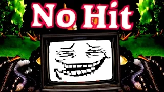 Undertale - No Hit Flowey (2 Segments)