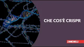 Che cos'è CRISPR?