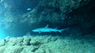 GoPro Hero 8 Underwater in Hawaii