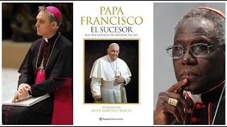 Review of Latest book by Pope Francis.  The Successor.