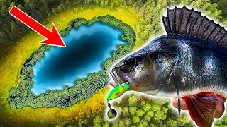 EXPLORING SMALL PONDS WITH PITCH-BLACK FISH | Team Galant