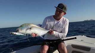 Tips for Topwater Fishing in Fiji