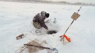 р.  Обь.   Проверяем   перемёт...+