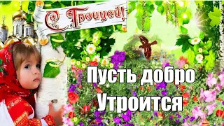 С Троицей! Красивое поздравление со Святой Троицей| C днем Святой Троицы!🌿 Holy Trinity Day