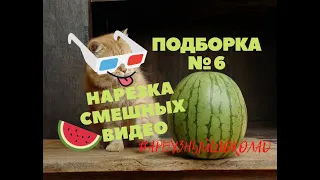 Вложила душу / Нарезка смешных видео/Апрель 2020/Приколы/Юмор/Ржака/Смех - Арбузный шоколад №6