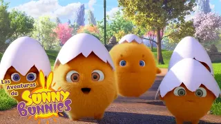 HUEVOS LINDO | Las Aventuras de Sunny Bunnies | Dibujos para niños