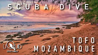 Scuba Dive Tofo Mozambique