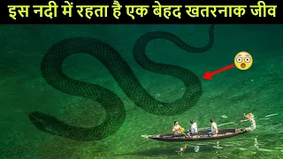 Amazon नदी के सबसे खतरनाक और रहस्यमय जीव | Creatures of Amazon river