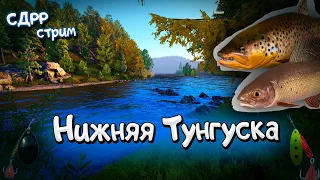 Что в моде сейчас на Нижней Тунгуске ( Русская рыбалка 4 )