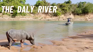 Is this the WILDEST River in the Territory?? Crocodiles,  Buffalo & Barramundi in the Daly River🤙