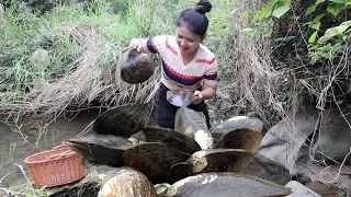 😎Blissful Treasure Hunt: The girl bravely opens a huge clam and discovers priceless pearls