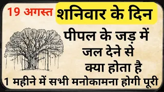 18 अगस्त शनिवार को पीपल के नीचे दिया जलाने से क्या होता है | पीपल के नीचे दीपक कब जलाए | pipal