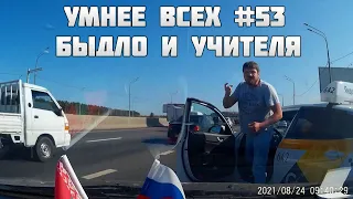 УМНЕЕ ВСЕХ #53. БЫДЛО И УЧИТЕЛЯ НА ДОРОГЕ