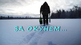 РЫБАЛКА НА ОКУНЯ. ТАЕЖНОЕ ОЗЕРО ОПЯТЬ УДИВЛЯЕТ.