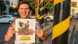 Finjo Que Perdí Un Gallo Y Que DOY $100,000 DE RECOMPENSA Para Ver Cuantos Mentirosos Llaman