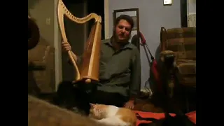 BORN FREE (Jon Williams 22 harp)