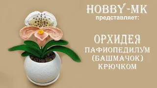 Орхидея крючком Пафиопедилум (авторский МК Светланы Кононенко)