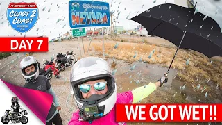 Honda Groms vs RAIN...in the DESERT!