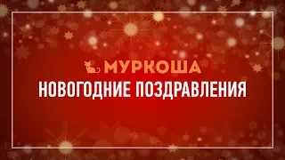 Новогодние поздравления от приюта "Муркоша"