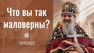 Проповедь о. Андрея Лемешонка после Божественной литургии 13 ноября 2022