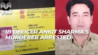 IB officer Ankit Sharma's murderer arrested by Delhi Police