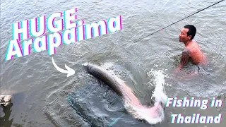 Fishing in Thailand HUGE Arapaima, Siamese Carp, Asian Redtail and Pacu