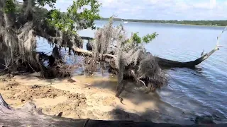 Some reasons I love Hilton Head Island area of South Carolina.