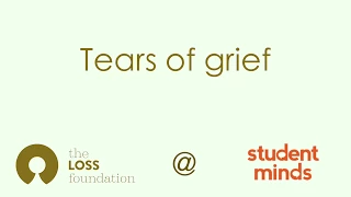 Tears of Grief - tears under the microscope