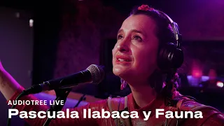 Pascuala Ilabaca y Fauna on Audiotree Live (Full Session)