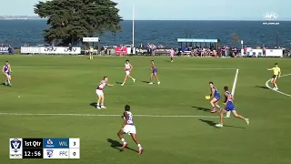 2024 VFL Round 4: Williamstown v Footscray