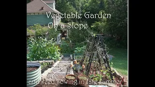 Cottage vegetable Garden and Potager on a SLOPE/  Seeds to sow in late summer