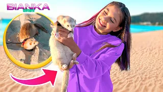 PRIMEIRA VEZ DO MEU FURÃO NA PRAIA ♥ ! - BIANKA