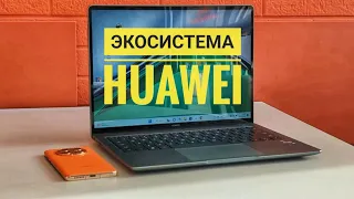 Экосистема Huawei. Есть ли магия? / Арстайл /