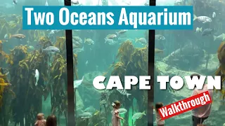 Two Oceans Aquarium Cape Town Walkthrough