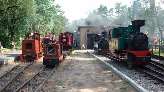 60 Jahre Parkeisenbahn Wuhlheide - Berlin (18.6.2016)