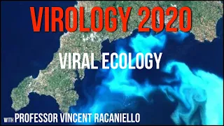 Virology Lectures 2020 #23: Viral ecology