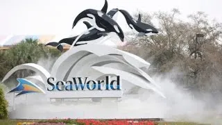 Former trainer: SeaWorld had policy of food deprivation