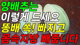 양배추를 이것과 같이 먹으면 내장지방과 뱃살 몸속 지방 싹 빼주고 위염을 없애줍니다. 양배추효능 꼭 이렇게 드세요.