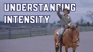 Unlocking Softness: The Rungs of the Horsemanship Ladder