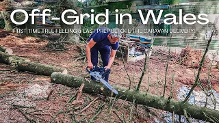 First time tree felling & last prep before caravan delivery! | Off-Grid in Wales