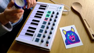 Gotye - Somebody That I Used To Know (Livelooping cover - Arturia Minilab MkII)