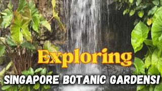Exploring Singapore Botanic Gardens